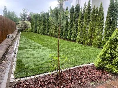 Moc Zieleni Marek Lalka | Olsztyn | aranżacja ogrodów i wycinka drzew